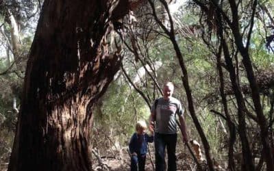 Walking Tours Now Available