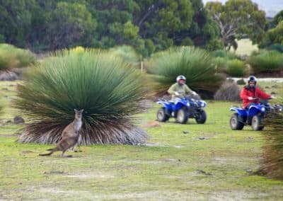 all terrain quad biking