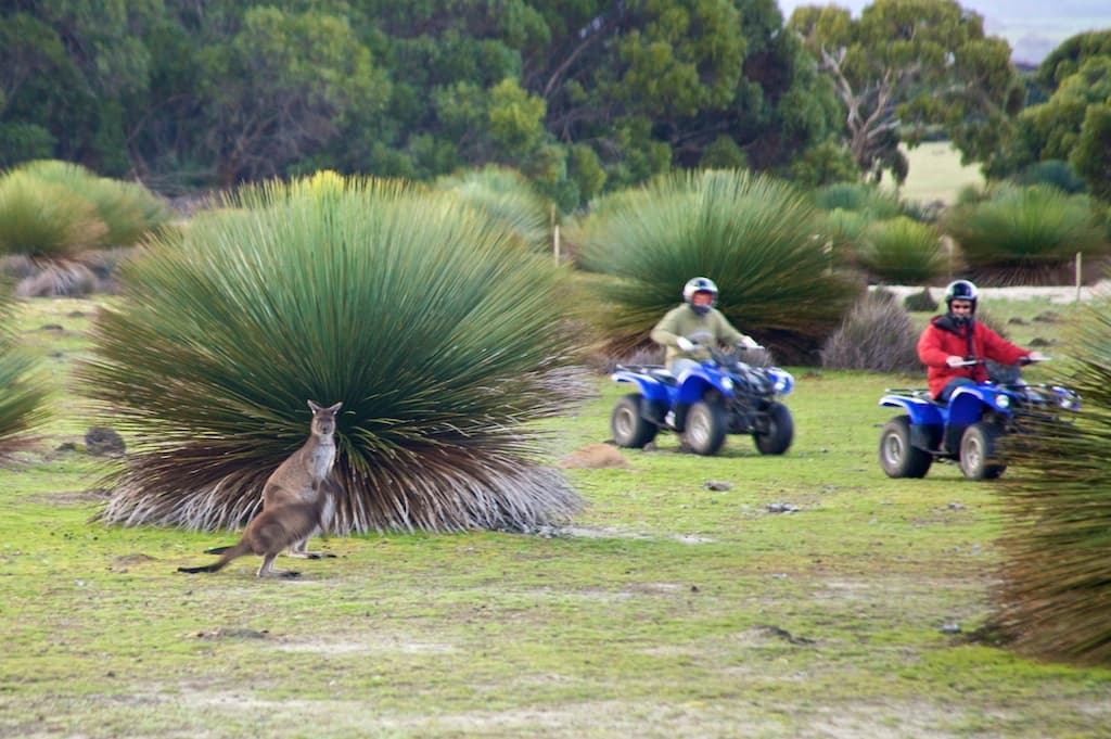 all terrain quad biking