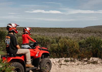 Guests stopped on quad bikes overlooking rugged coastal bushland during a Kangaroo Island tour.