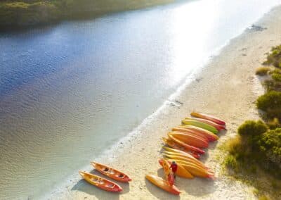 Kayaks lined up on the sandy shoreline of Harriet River with Kangaroo Island Outdoor Action.