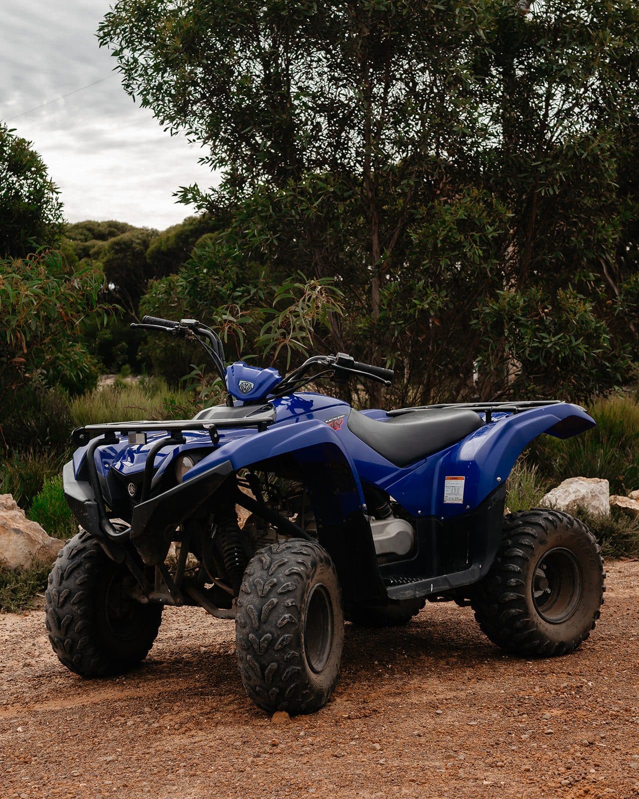 Yamaha Grizzly (Blue)