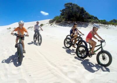 E Bike Tour
