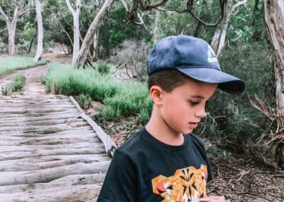 Koala Walking Tour