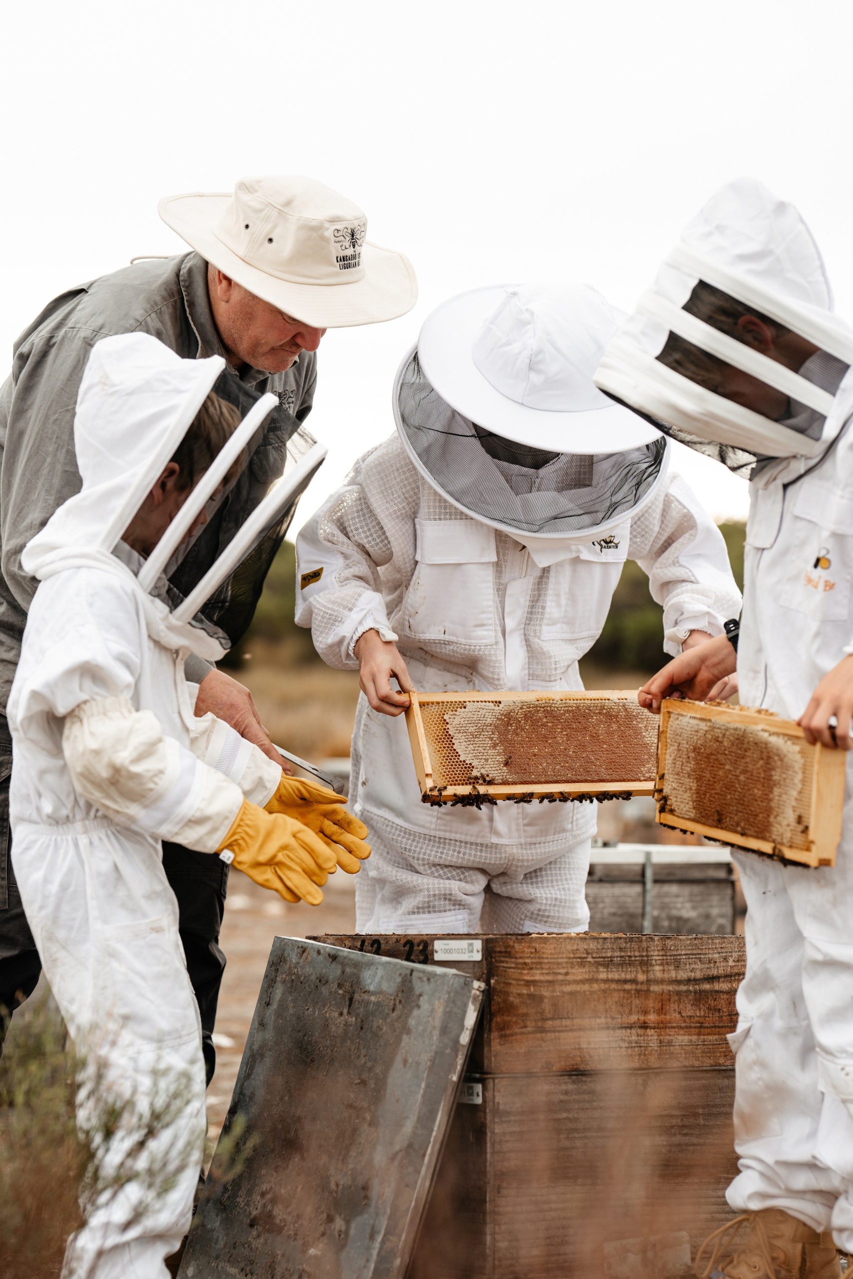 Beekeeping Experience