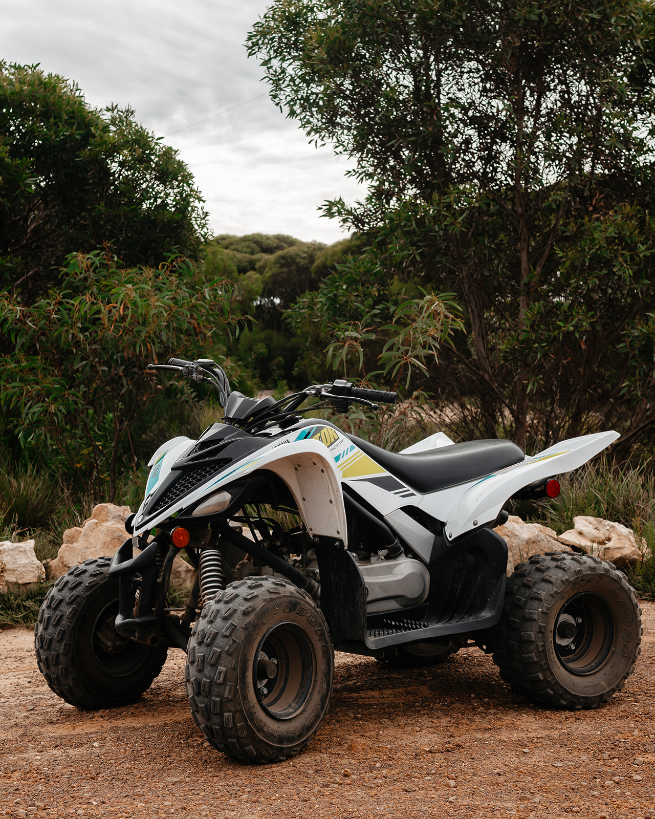 Yamaha Raptor 90 (White)