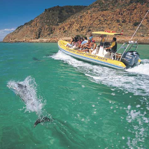 Kangaroo Island Marine Adventures