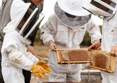 Beekeeping Experience